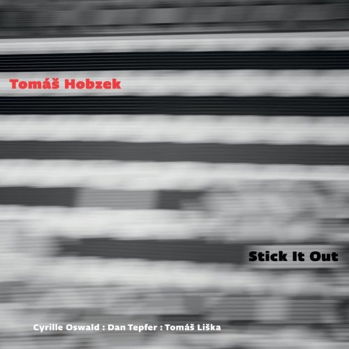 Tomáš Hobzek - Stick It Out (2018)
