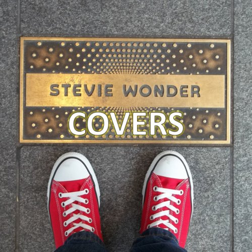 VA - Stevie Wonder Covers (2019)