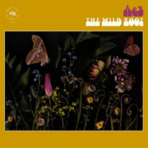 Alan Evans Trio - The Wild Root (2019)