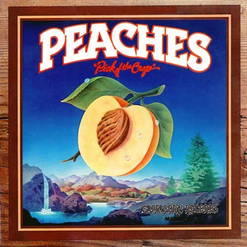 VA - Peaches (1974)