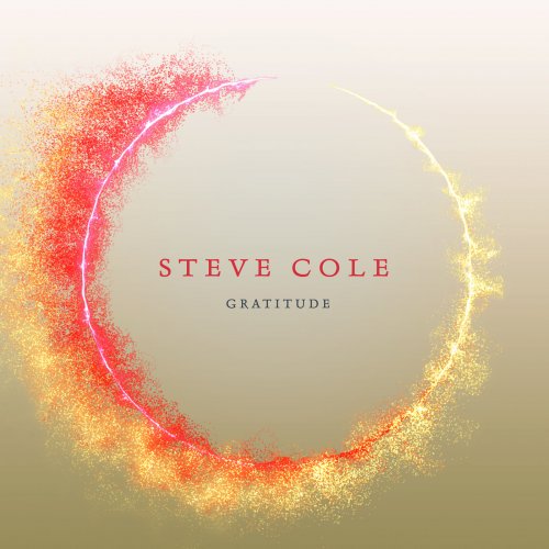 Steve Cole - Gratitude (2019) [Hi-Res]