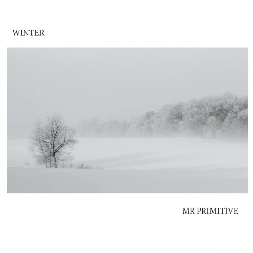 Mr Primitive - Winter (2019)