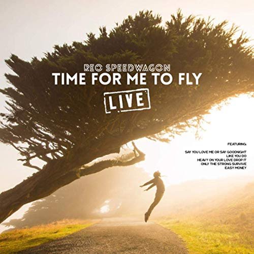 REO Speedwagon - Time For Me To Fly (Live) (2019)