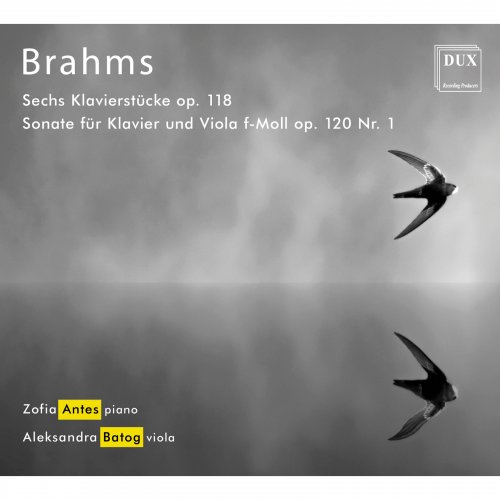 Zofia Antes & Aleksandra Batog - Brahms: Chamber Works (2019) [Hi-Res]