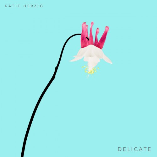 Katie Herzig - Delicate (2018)