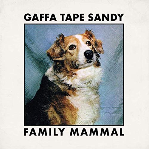 Gaffa Tape Sandy - Family Mammal (2019)
