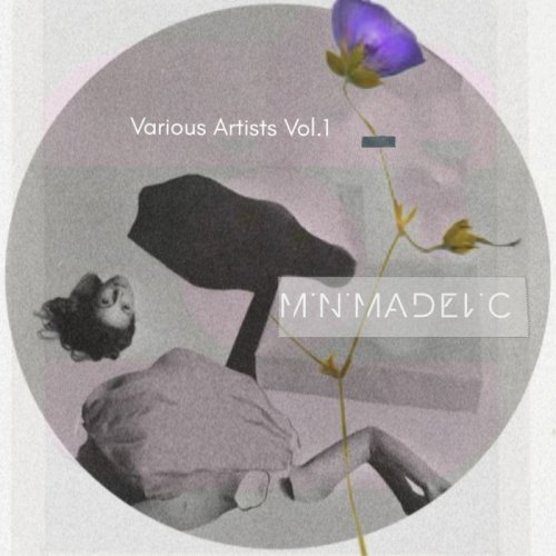 VA - Minimadelic V.A, Vol. 1 (2019)