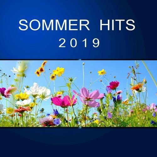 VA - Sommer Hits 2019 (2019)