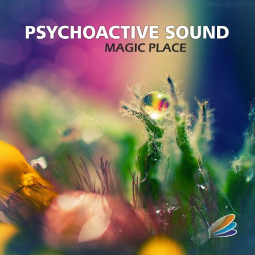 Psychoactive Sound - Magic Place (2014)