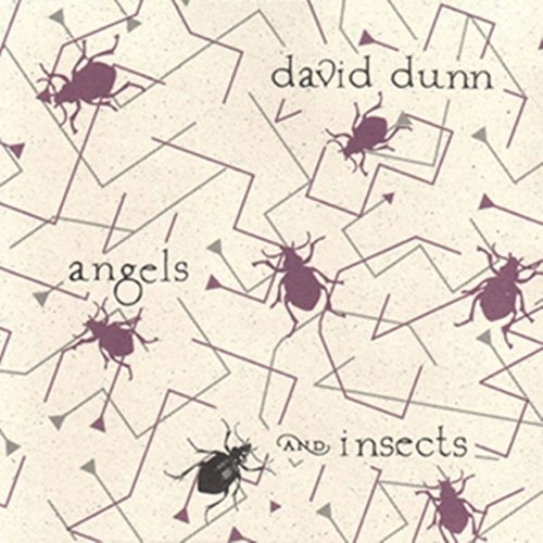 David Dunn ‎- Angels And Insects (1992)