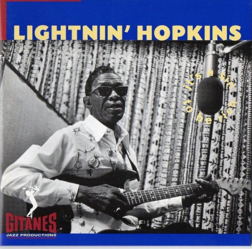 Lightnin Hopkins - Its A Sin To Be Rich (1992)