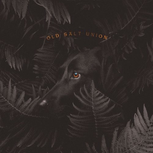 Old Salt Union - Where The Dogs Don't Bite (2019)
