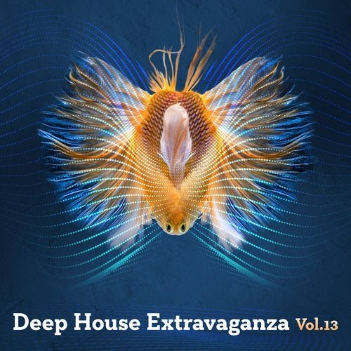 VA - Deep House Extravaganza, Vol.13 (2019)