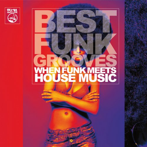 VA - Best Funk Grooves (When Funk Meets House Music) (2015)