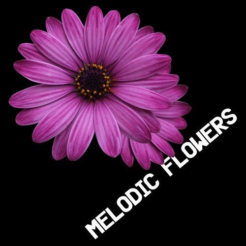 VA - Melodic Flowers (2019)