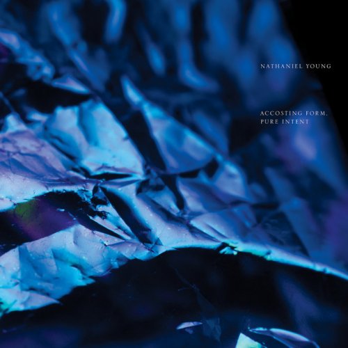 Nathaniel Young - Accosting Form, Pure Intent (2019)