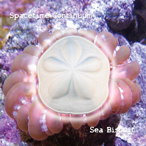 Spacetime Continuum - Sea Biscuit [Limited Edition, Reissue] (1994/2018)