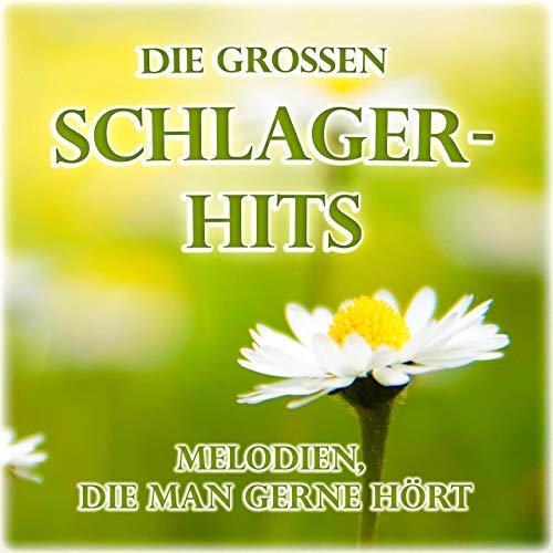 VA - Die grossen Schlager-Hits (Melodien, die man gerne hört) (2019)