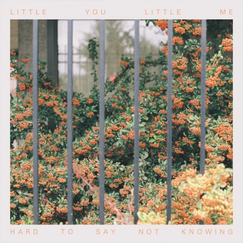 Little You, Little Me - Hard to Say Not Knowing (2019)