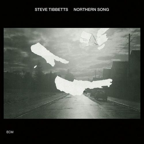 Steve Tibbetts - Northern Song (1982) [Reissue 2019]