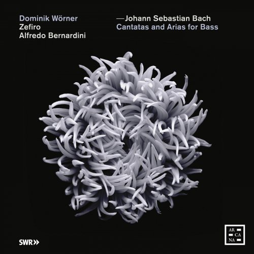 Alfredo Bernardini, Zefiro & Dominik Wörner - Bach: Cantatas and Arias for Bass (2019) [Hi-Res]