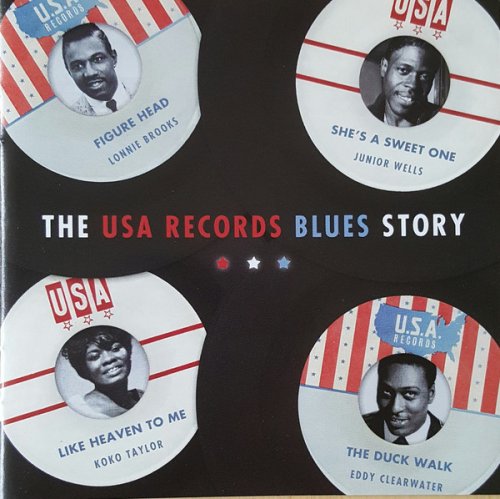 VA - The USA Records Blues Story (2002)