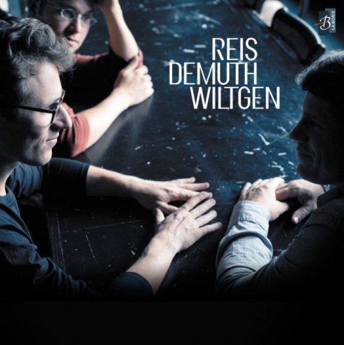 Marc Demuth, Michel Reis, Paul Wiltgen - Reis Demuth & Wiltgen Trio (2013) [Hi-Res]