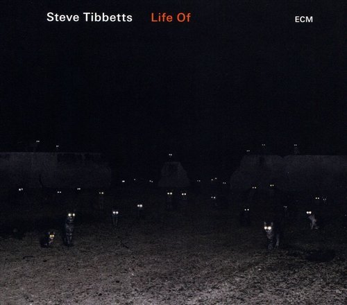 Steve Tibbetts - Life Of (2018) [CD-Rip]