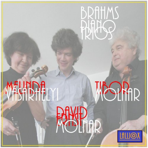 David Ernst Molnar - Brahms Piano Trios (2019)
