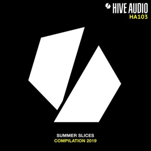 VA - Summer Slices 2019 (2019)