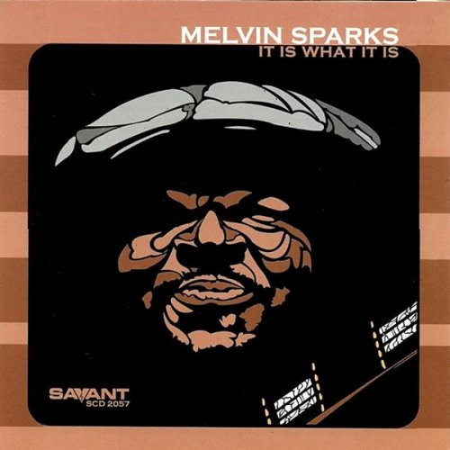 Melvin Sparks - It Is What It Is (2004) flac
