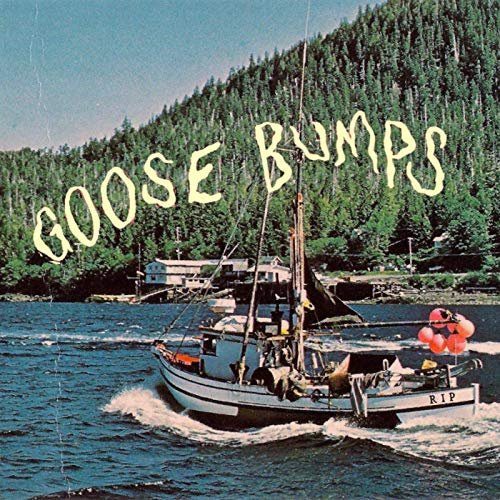 Boyscott - Goose Bumps (2019)