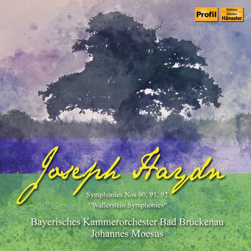 Bayerisches Kammerorchester Bad Brückenau feat. Johannes Moesus - Haydn: Wallerstein Symphonies (2019) [Hi-Res]