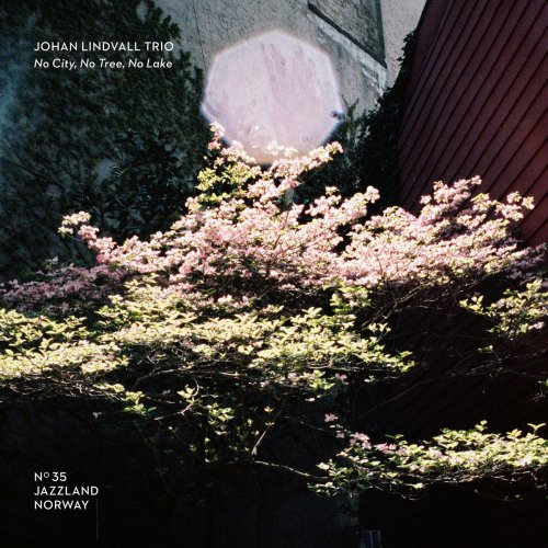 Johan Lindvall Trio - No City, No Tree, No Lake (2019)