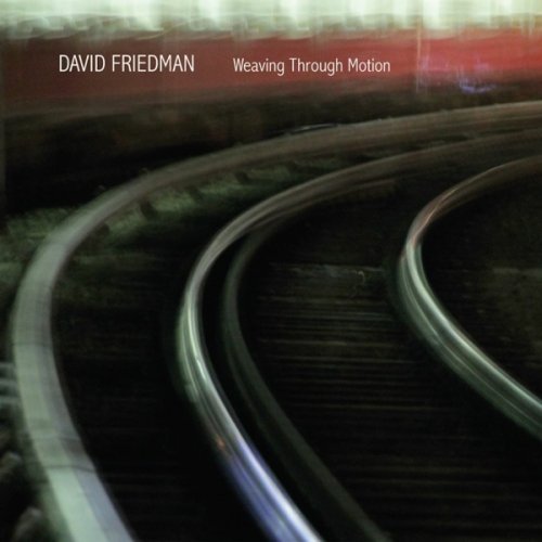 David Friedman - Weaving Through Motion (2014) [Hi-Res]