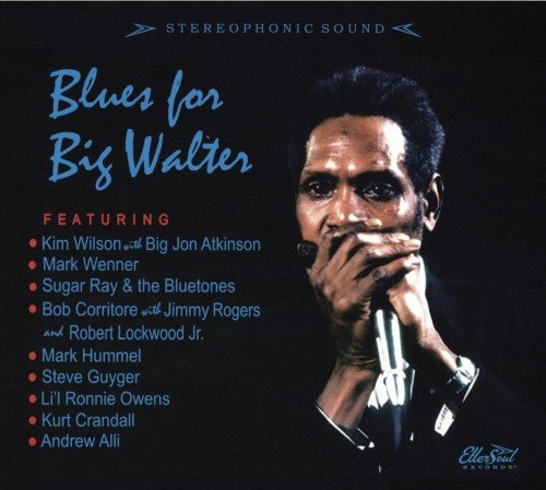 VA - Blues for Big Walter (2016) Lossless