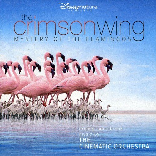 Cinematic Orchestra - The Crimson Wing: Mystery of the Flamingos (2008)