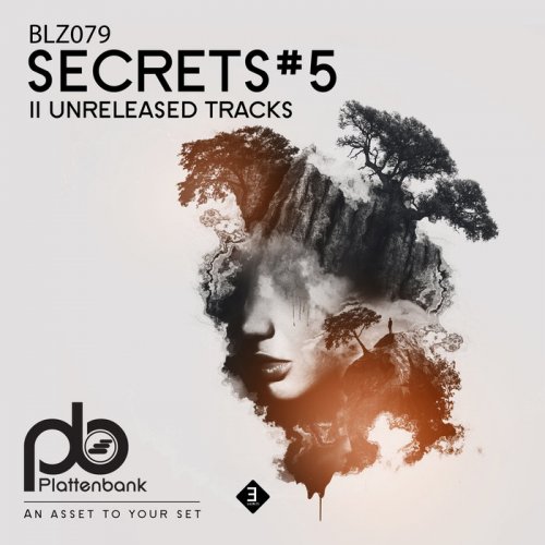 VA - Secrets #5 (2019)