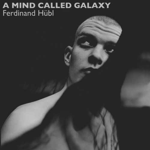 Ferdinand Hübl - A Mind Called Galaxy (2019)