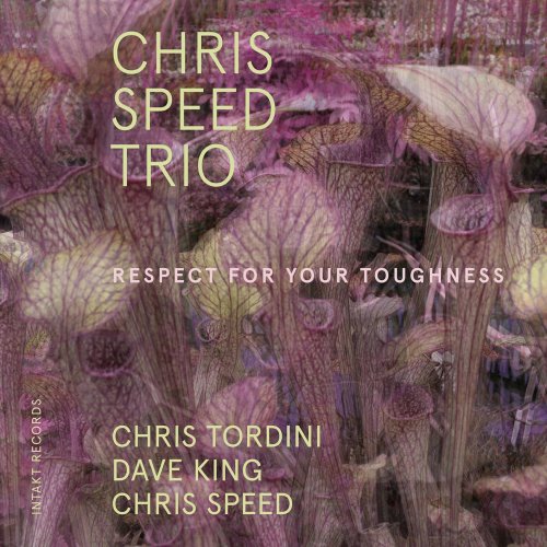 Chris Speed Trio - Respect for Your Toughness (feat. Chris Tordini & Dave King) (2019) [Hi-Res]