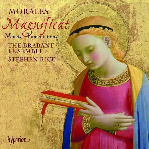 The Brabant Ensemble, Stephen Rice - Morales: Magnificat, Motets, Lamentations (2008)
