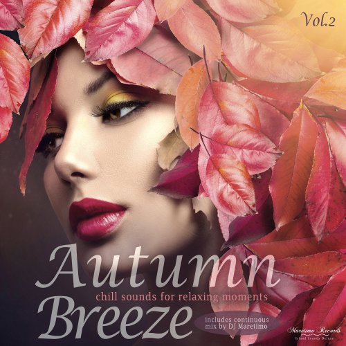 VA - Autumn Breeze Vol 2: Chill Sounds For Relaxing Moments (2018)