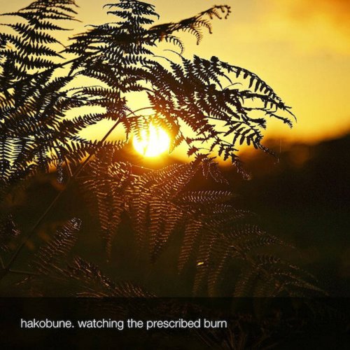 Hakobune - Watching The Prescribed Burn (2019)