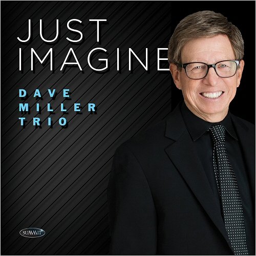 Dave Miller Trio - Just Imagine (2019)