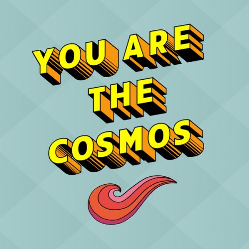 VA - You Are the Cosmos (2019)