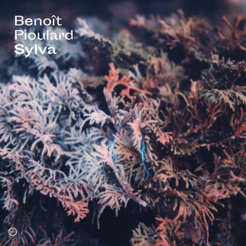 Benoit Pioulard - Sylva (2019) [Hi-Res]