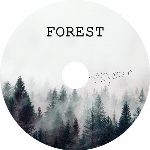 Alessandro Cerri - Forest (2019)