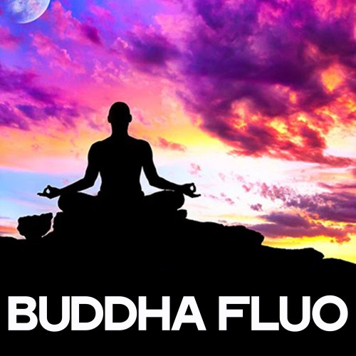 VA - Buddha Fluo (2019) [Hi-Res]