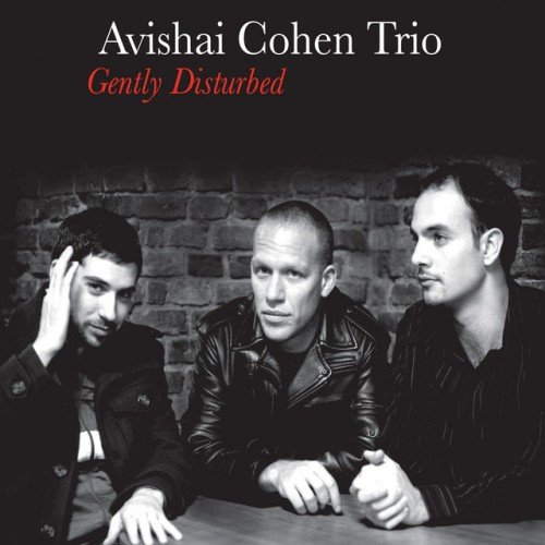 Avishai Cohen Trio - Gently Disturbed (2008)