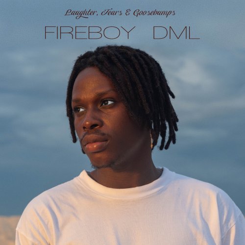 Fireboy DML - Laughter, Tears & Goosebumps (2019)